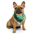 Gay Male Pride Waves Bandana